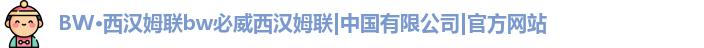 BW·西汉姆联bw必威西汉姆联|中国有限公司|官方网站